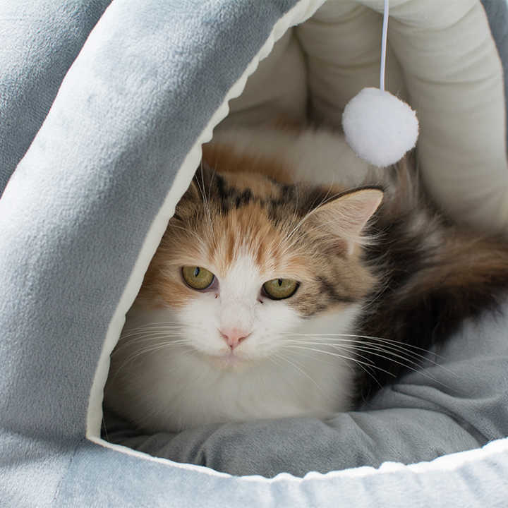 Warm cat bed mattresses 