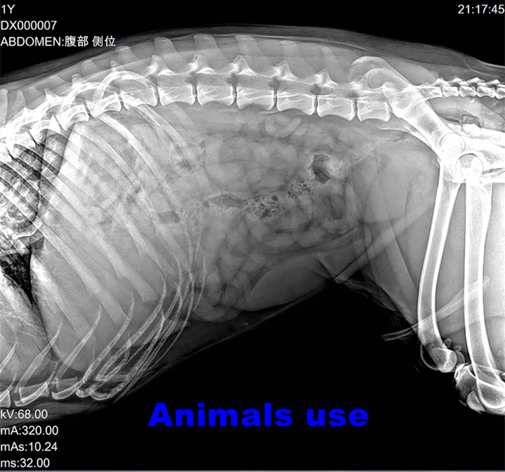 14x17 Inch High Resolution Veterinary Medical Wireless X-ray Machine 