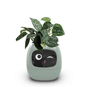 smart flower pot 