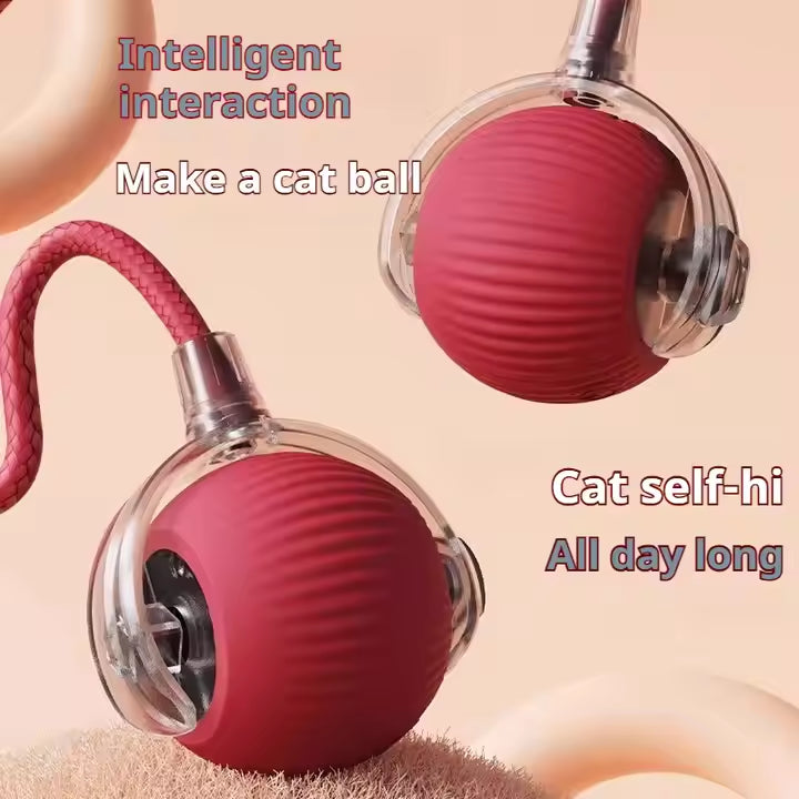 Animal Accessories - Interactive Toy Ball 