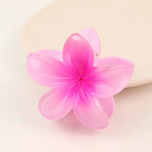 Transparent Hair Clip 