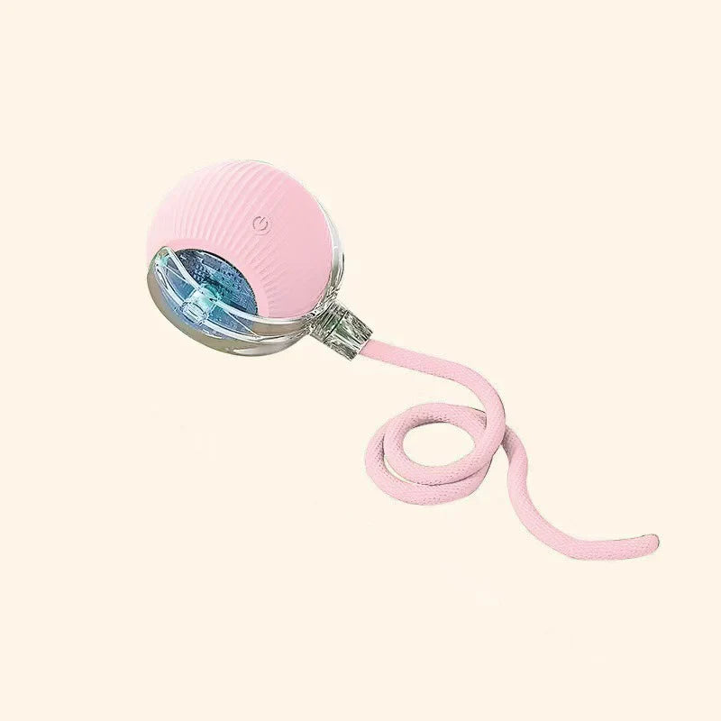 Cat play ball, animal accessories