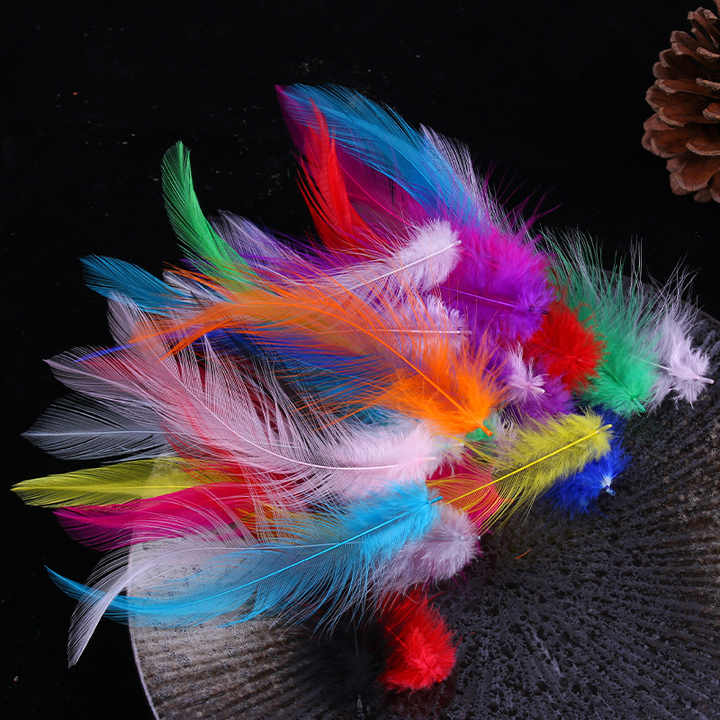 Feather Turkey Hair Earrings 