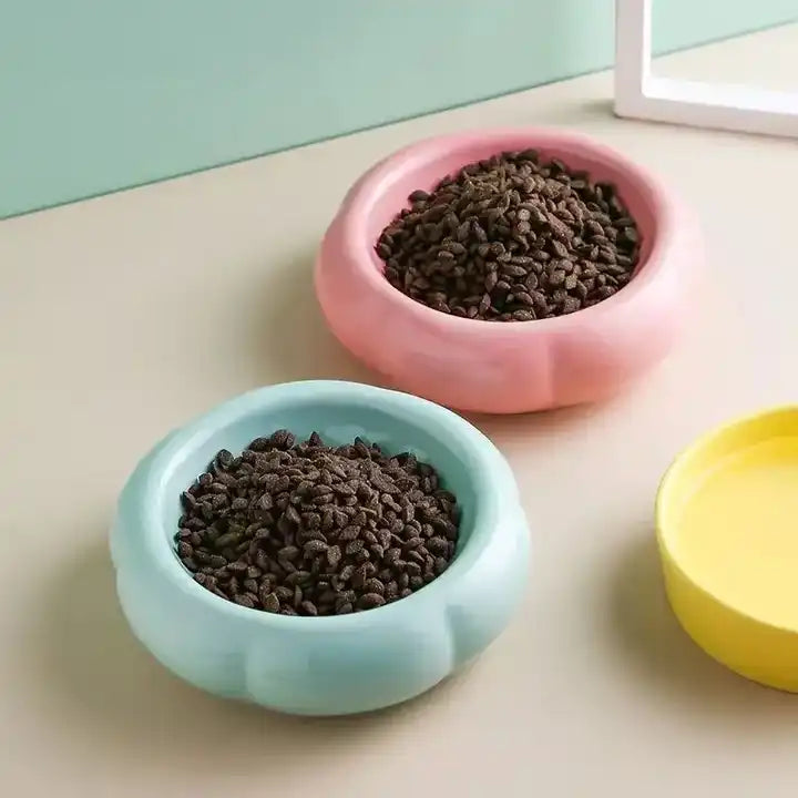 Cute double grain ceramic tray with anti-drip. Bowls and feeders. 