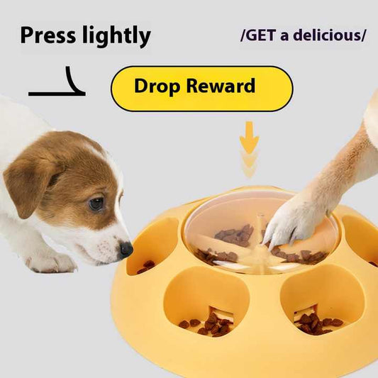 أوعية طعام الحيوانات الأليفة - pet food bowls