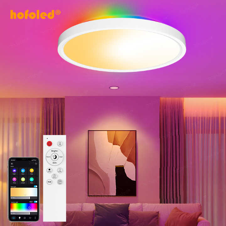 Modern smart ceiling lamp 