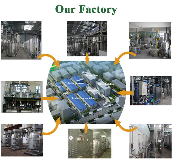 Dye Raw Material 100% Pure Natural Hair &amp; Eyebrow Colors. 