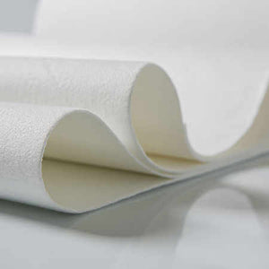 Polypropylene Filter Cloth 