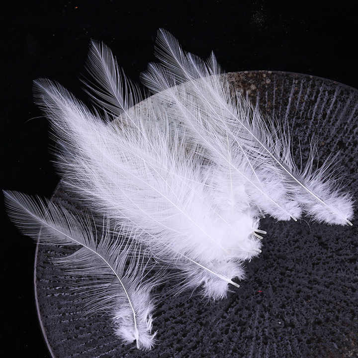 Feather Turkey Hair Earrings 