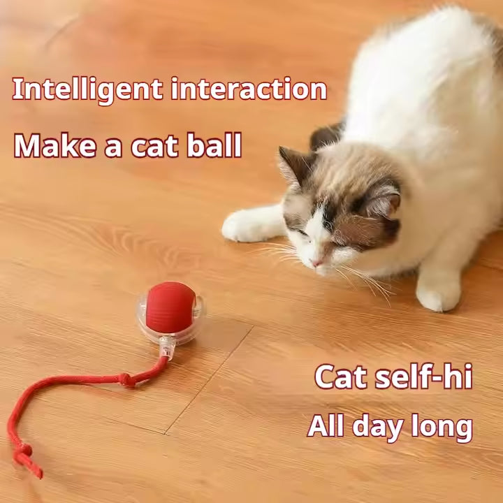 Animal Accessories - Interactive Toy Ball 