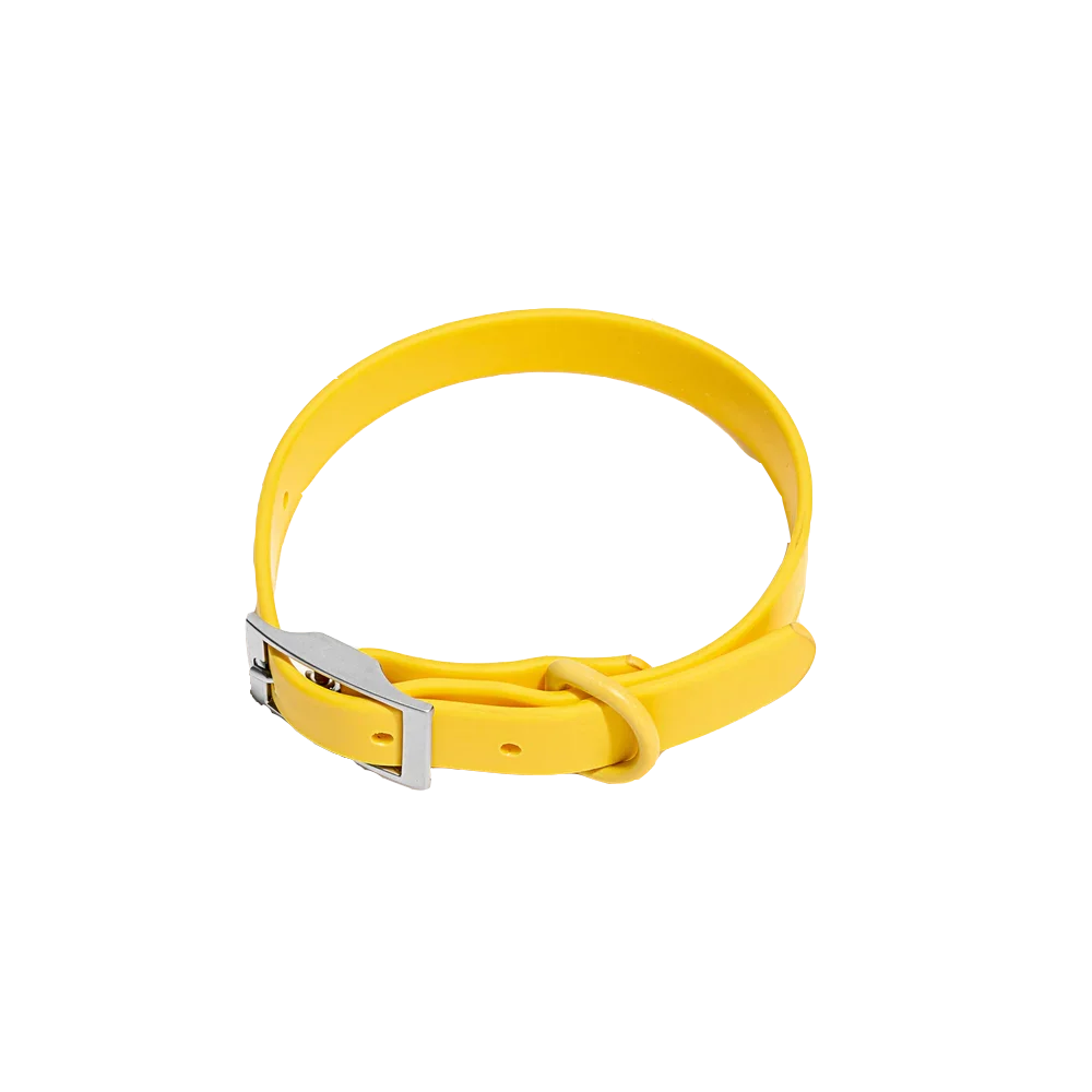 Pet Accessories - Pet Walking 