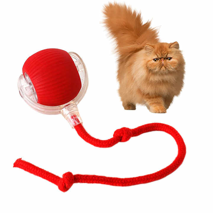 Animal Accessories - Interactive Toy Ball 
