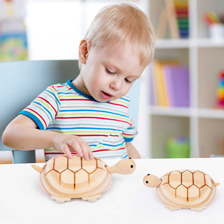 Turtle entertainment games 