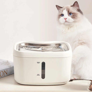 Pet, sautomatio, smart drinking water supplies and accessories for animals, dogs and pets 