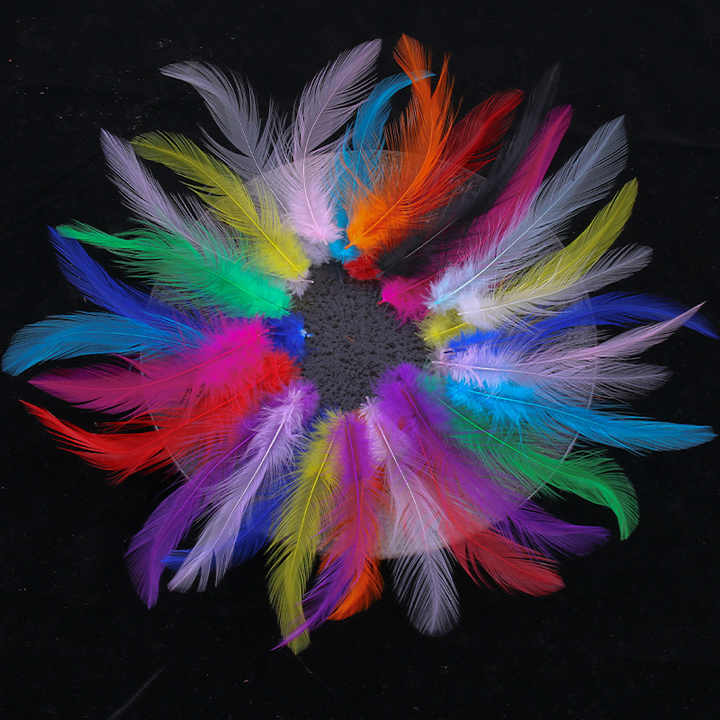 Feather Turkey Hair Earrings 