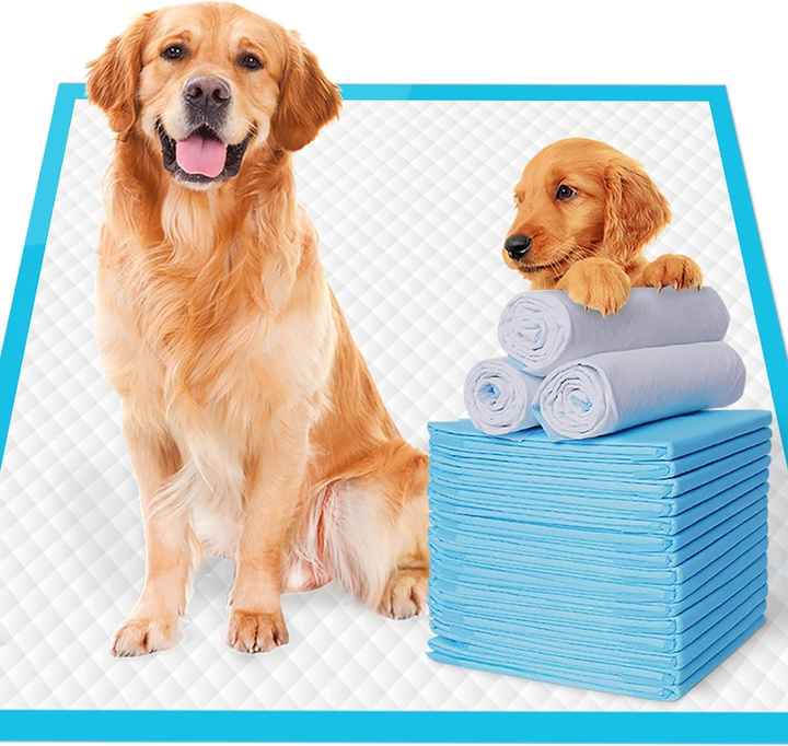 أساسيات إيطاليا ومالتا وسادات تبول الكلب والجرو . Essentials Italy &amp; Malta Dog &amp; Puppy Pee Pads with Leak