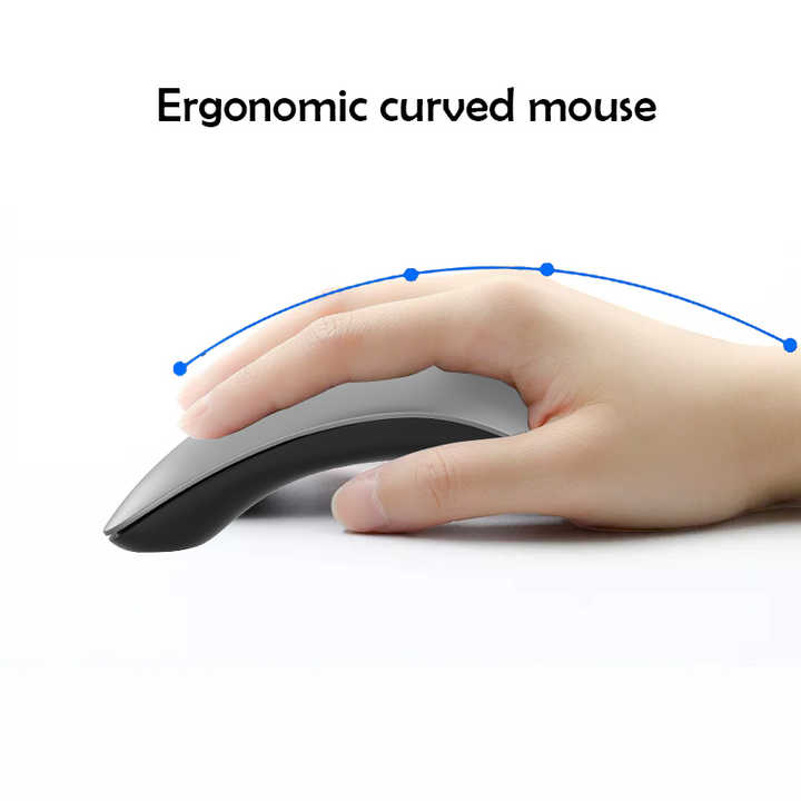 computer mouse 