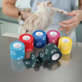 جبس طبي للاستعمال مرة واحدة جص بوب ضمادة اسعافات اوليه