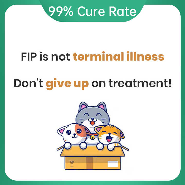 حيوان القط اختبار سريع القطط اختبار التهاب الصفاق المعدي اختبار- مستلزمات طبية
