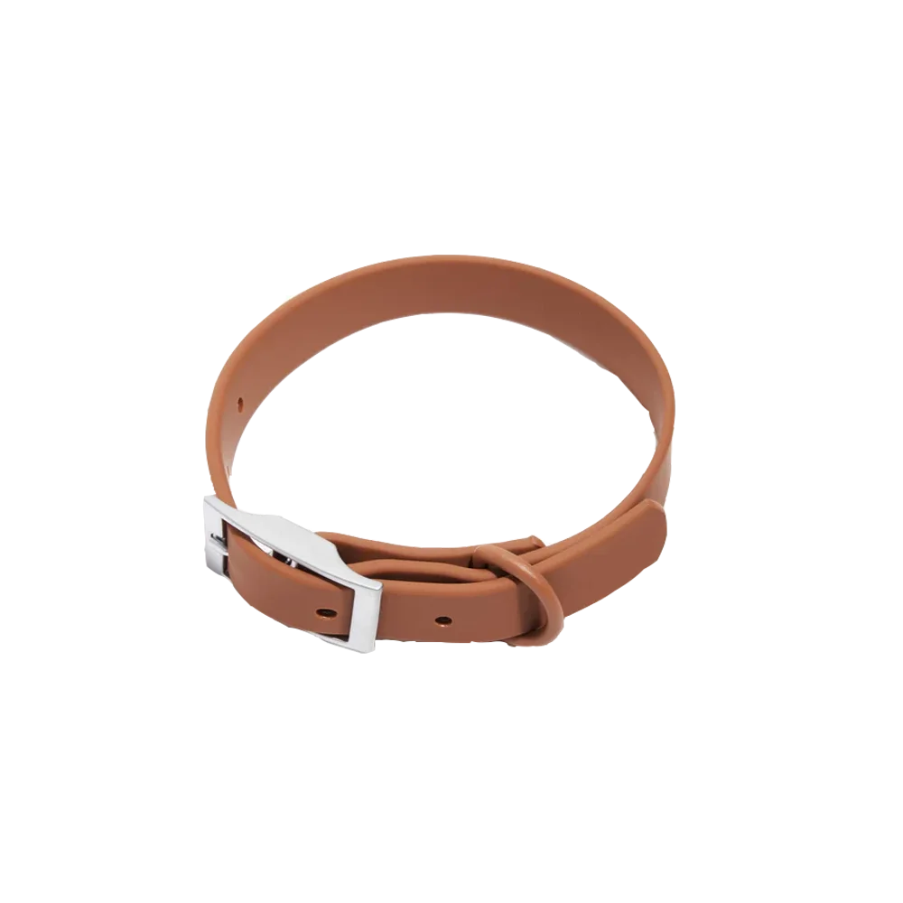 Pet Accessories - Pet Walking 
