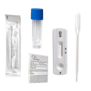 اختبار GIA Ag للكلب Pet Parvovirus Kit اختبار Giardia Ag سريعًا GIA Ag Test for Dog Pet Parvovirus Kit Giardia Ag Rapid Test