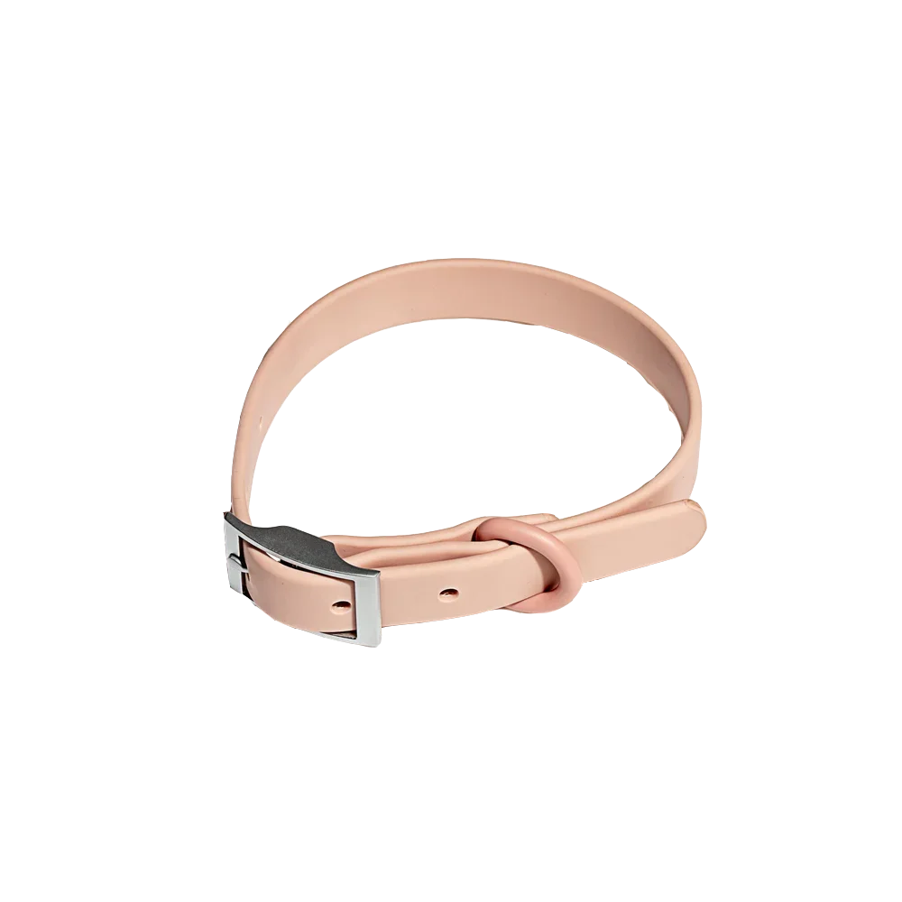 Pet Accessories - Pet Walking 