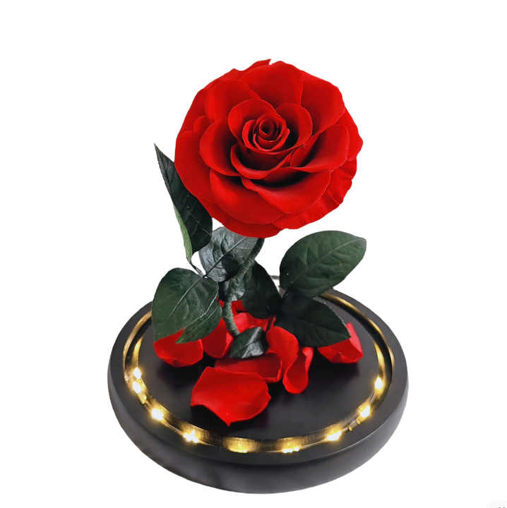 Gift for Valentine's Day and Birthday Gifts- High Value Real Rose Flowers