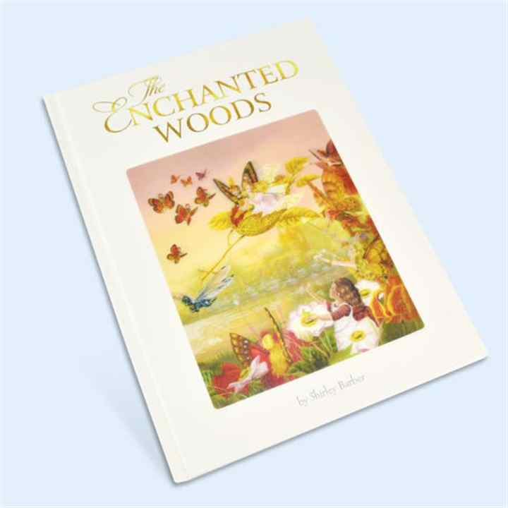 New Design High Quality Children's Hardcover Novels 