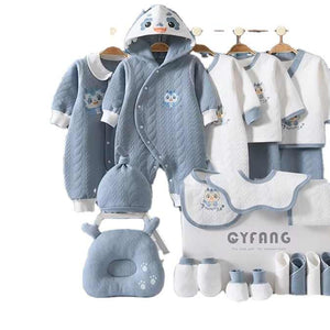Newborn boy set 