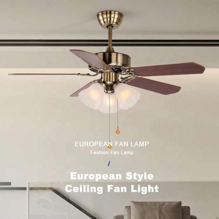 ديكور , decor