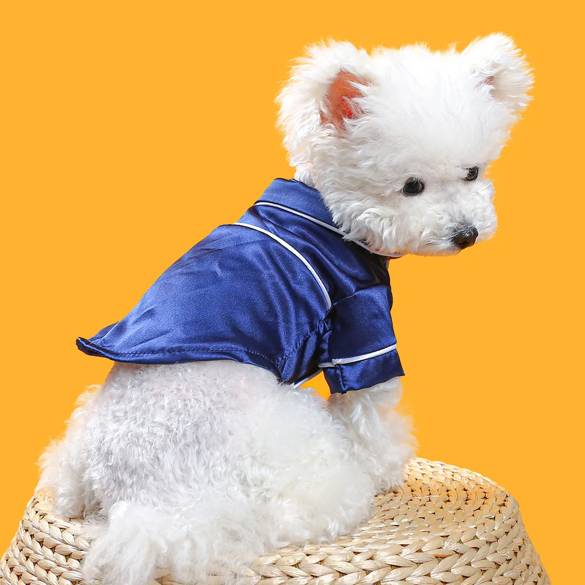 Pet Clothes-Clothing 