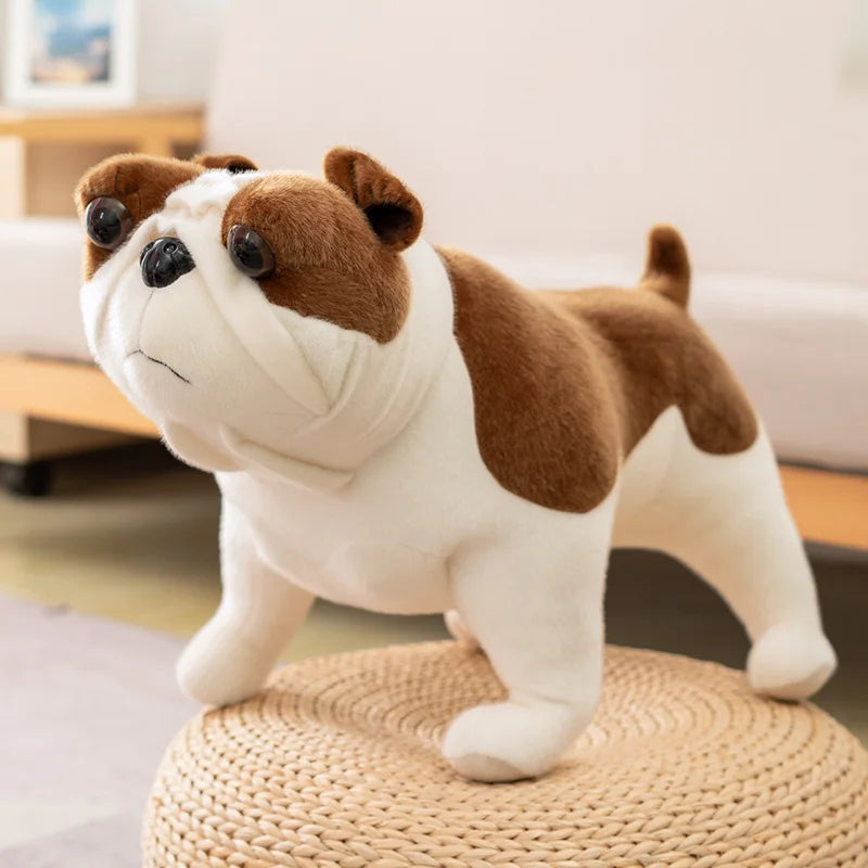 Animal accessories - animal toys 
