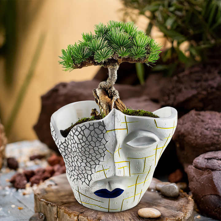Contemporary resin manufacturing 