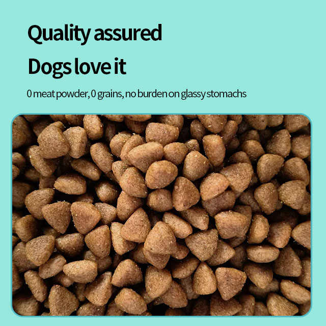 dog food .  طعام الكلب