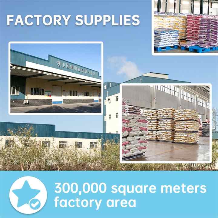 Top Selling Most Popular Cat Dry Food Chinese Pet Food Factory Wholesale Directly Delicious Dry Cat Food - Bowls &amp; Feeders 