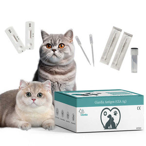 Pet Parvovirus Rapid Test Kit Medical Supplies 