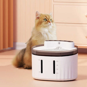 Bowls and Feeders - Smart Water Feeder 