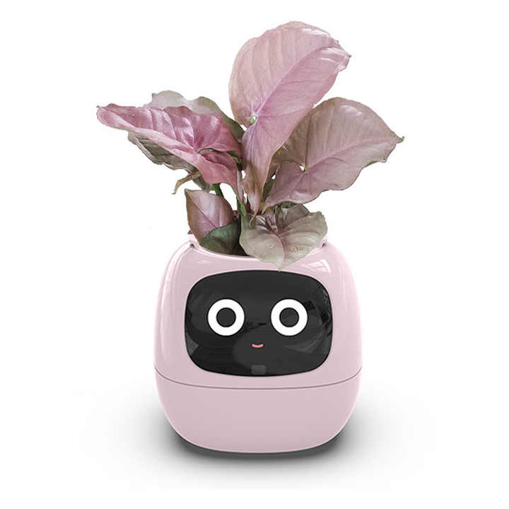 smart flower pot 