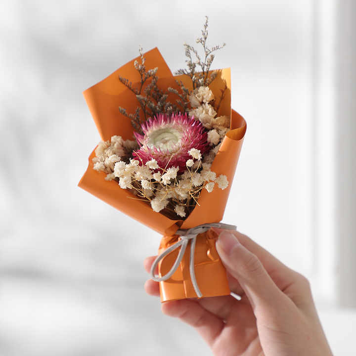 Plants Baby's Stars-Dried Flowers 