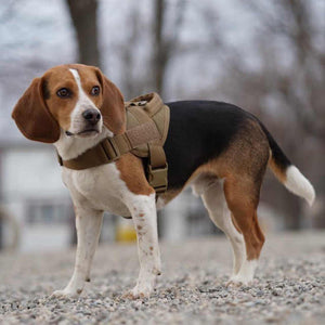 Tactical Nylon Dog Clothes Pet Supplies Waterproof Dog 