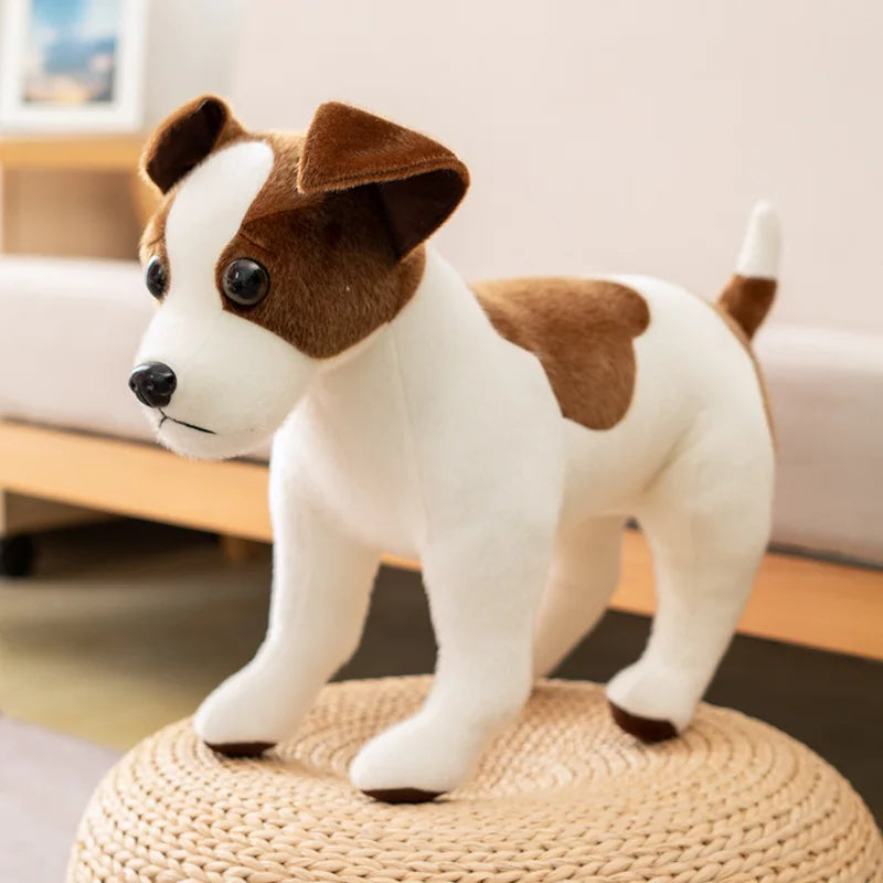 Animal accessories - animal toys 