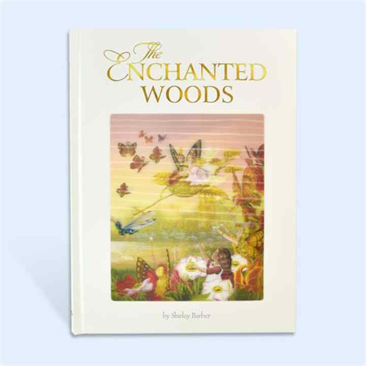 New Design High Quality Children's Hardcover Novels 