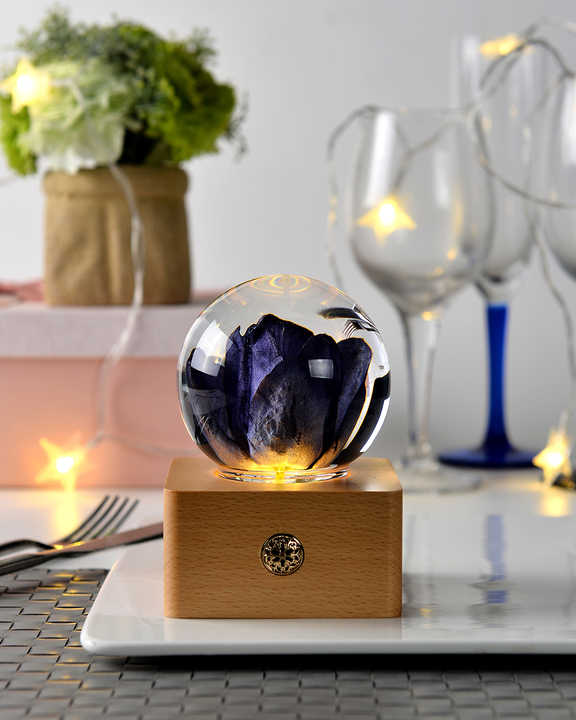 Unique Hot Item Novelty Gifts-Night Light 