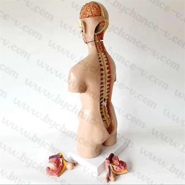 Medical supplies 