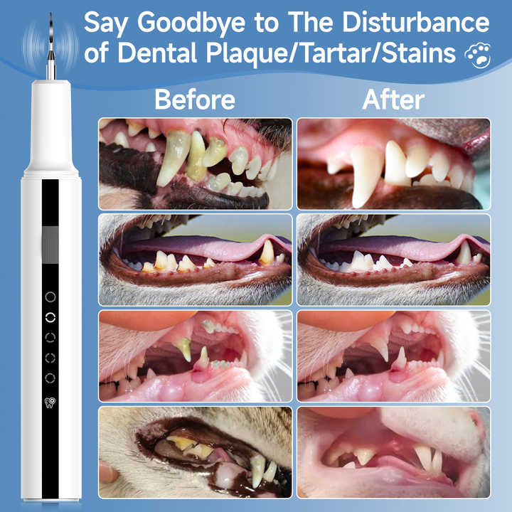 Animal teeth whitening products 