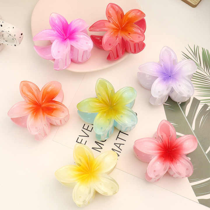 Transparent Hair Clip 
