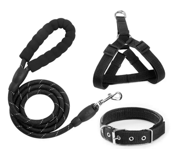 Luxury Pet Dog and Cat Collar Leash Set - Animal Accessories 