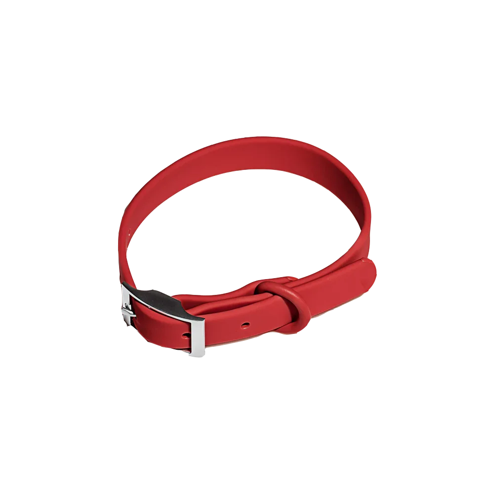 Pet Accessories - Pet Walking 