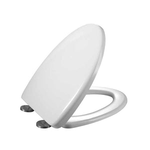 toilet seat 