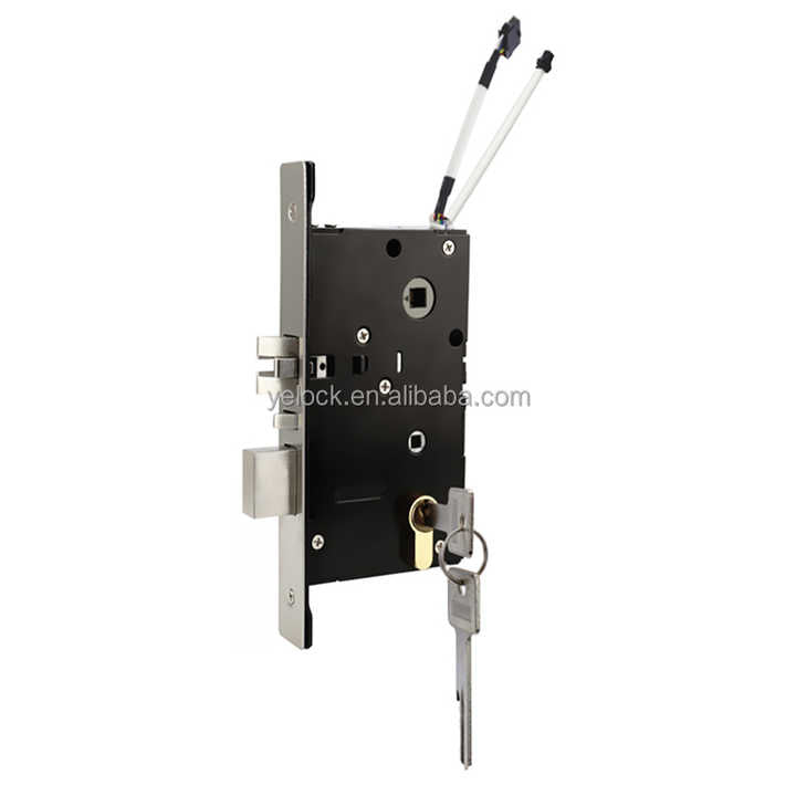 electronic door lock 
